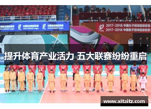 提升体育产业活力 五大联赛纷纷重启